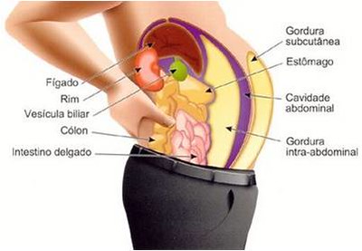 2. A importância da vesícula biliar e sua função crucial na digestão