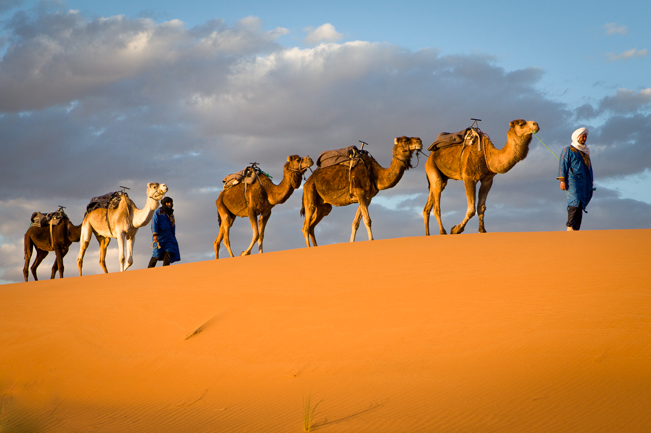 1. Explorando a geografia dos camelos:⁤ suas localizações ao redor ⁢do mundo
