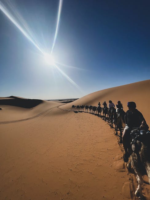 4. Além ⁤do Oriente Médio: surpreendentes encontros com​ camelos⁤ na Ásia e‍ Austrália
