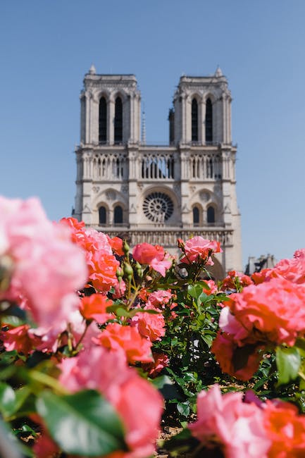 O ‌fascínio da Catedral de Notre Dame: um⁤ tesouro arquitetônico em Paris