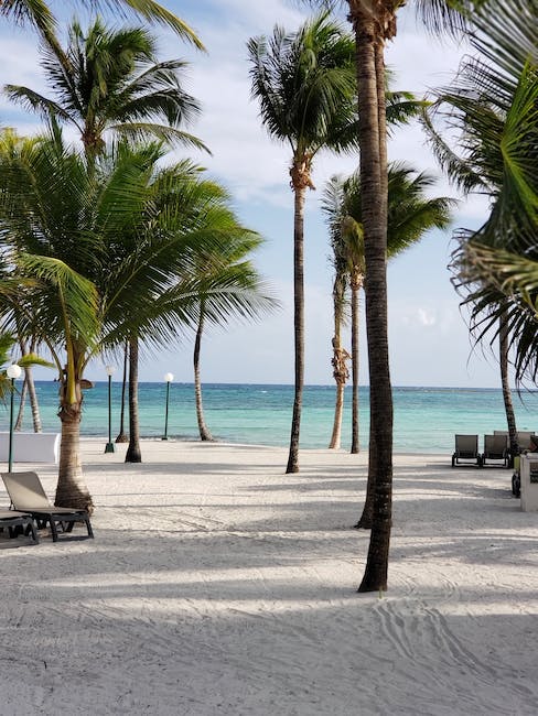 Atividades‌ que não podem faltar durante sua visita à​ Praia de Cancún