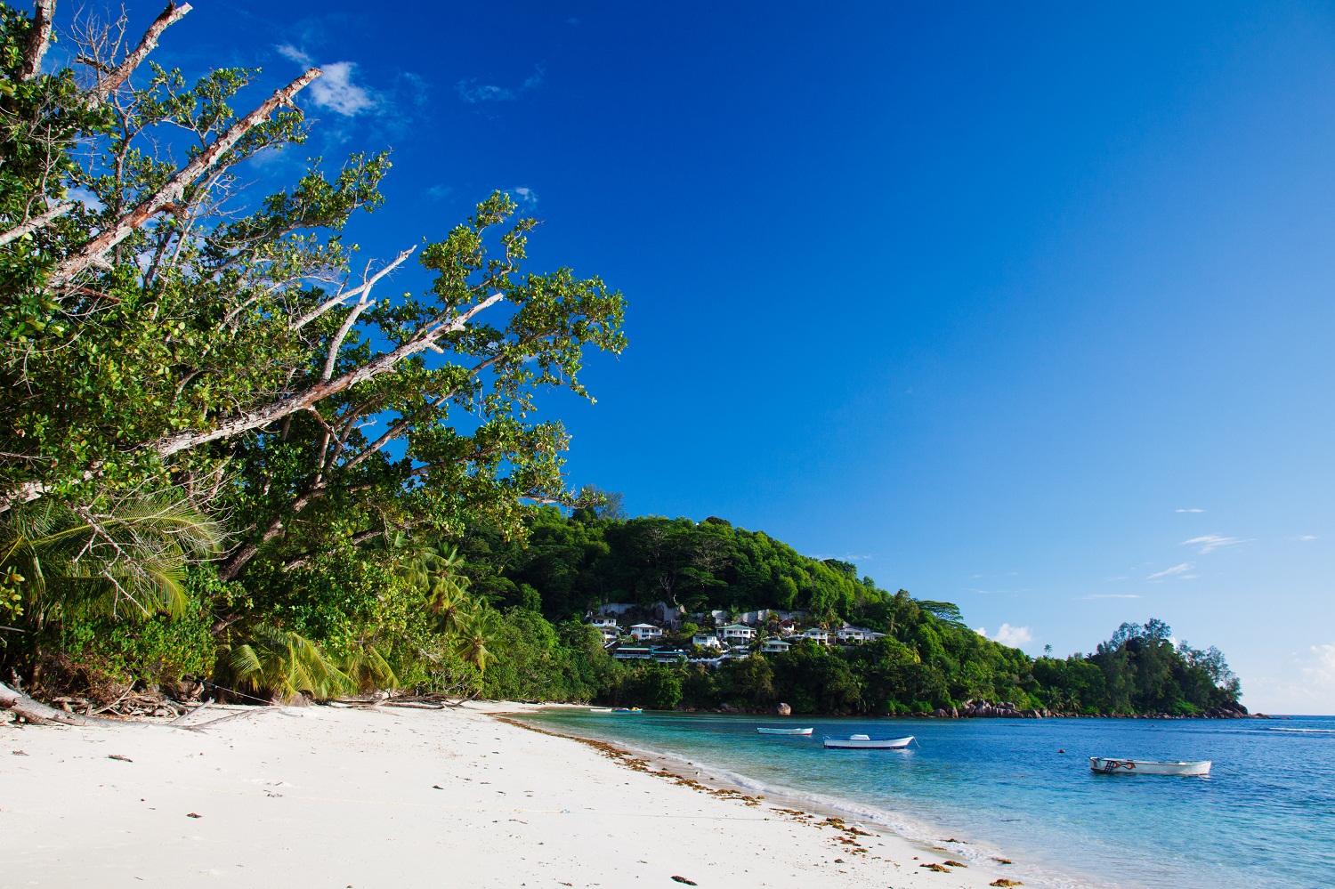 Um paraíso escondido⁢ nas Seychelles: conheça a praia Anse Lazio
