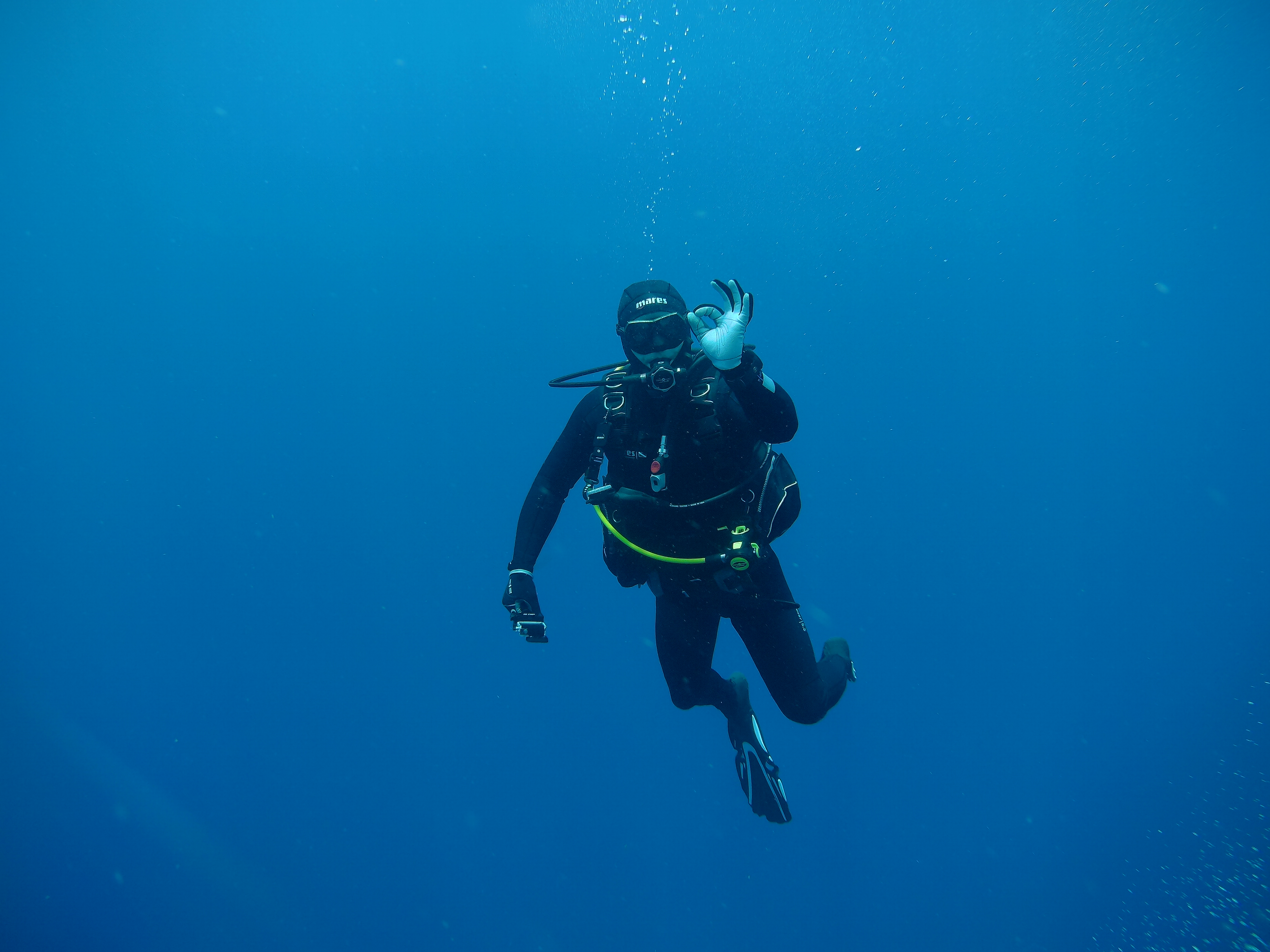 Experiência de Mergulho​ em Baía do Sancho: Oportunidades‍ e​ Encantos
